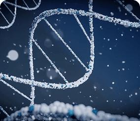 Maternal healthcare services utilization in rural areas